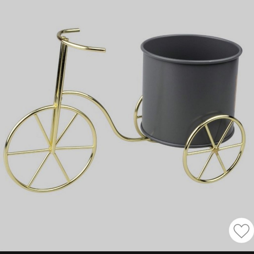 Bicycle planter or home decoration.